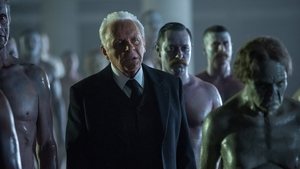 Westworld – Dove tutto è concesso – 1 stagione 9 episodio