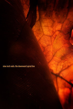 Nine Inch Nails: The Downward Spiral Live 5