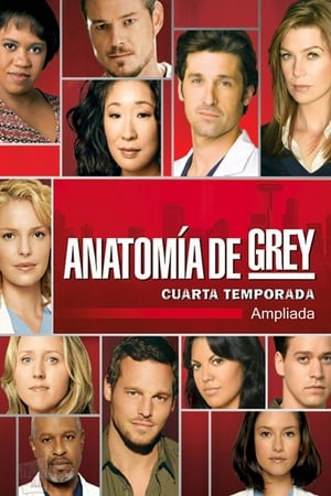 Anatomía de Grey: Temporada 4