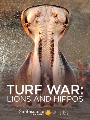 Turf War: Lions and Hippos