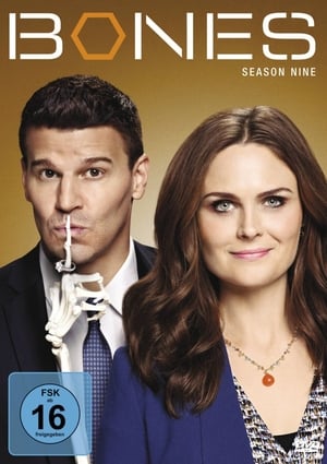 Bones - Die Knochenjägerin: Staffel 9