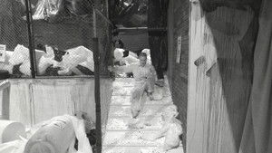 Miniature Épisode 12 : Épisode 12