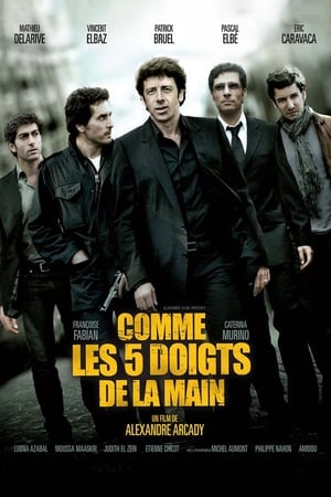 Comme les 5 doigts de la main cover