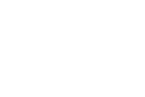 Logo Mutant Koala Pictures