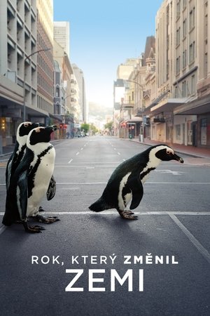 Poster Rok, který změnil Zemi 2021