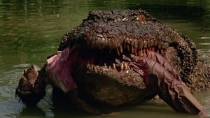 Killer Crocodile