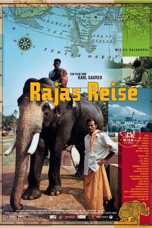 Poster di Raja's Reise