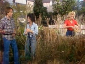 Three's Company Days of Beer and Weeds
