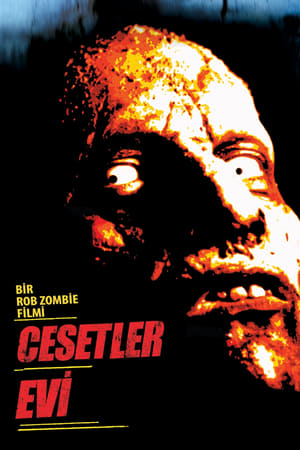 Poster Cesetler Evi 2003