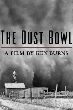 Image The Dust Bowl