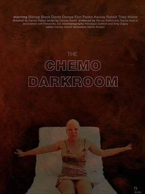 Poster The Chemo Darkroom (2018)