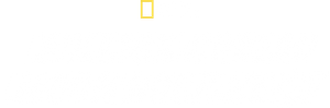 O Roubo Lunar — Logos 2
