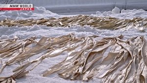 Journeys in Japan: 16×9