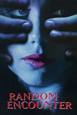 Poster Random Encounter (1998)