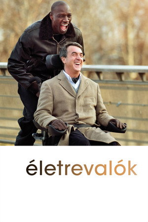 poster The Intouchables