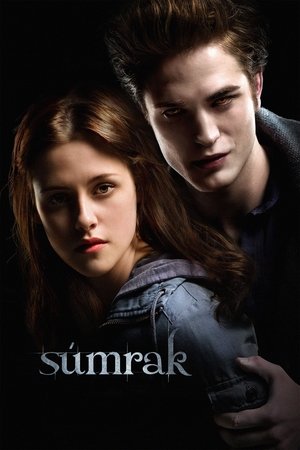 Súmrak (2008)