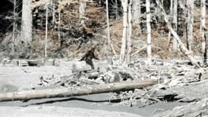 Patterson–Gimlin film