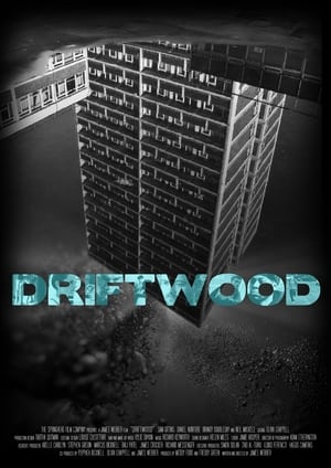 Poster Driftwood 2012