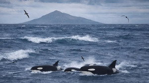 People of the Storms