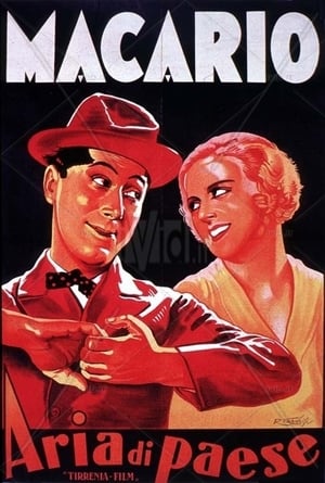Poster Aria di paese (1934)