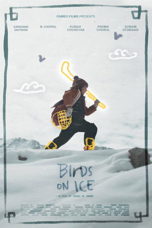 Birds on Ice poster