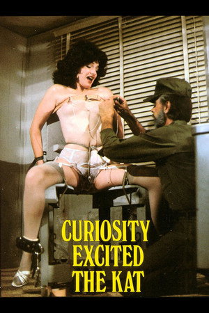 Curiosity Excited the Kat 2