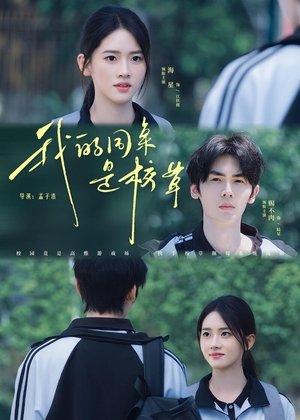 Affiche de 我的同桌是校草