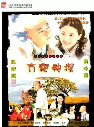 Poster Mr. Winner 2002