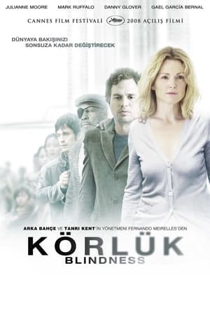 Körlük (2008)