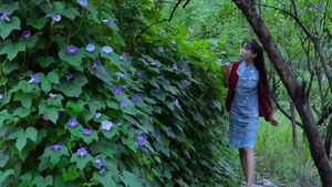 Episode 7 | StreamHub