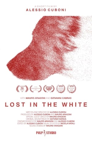 Poster Lost in the White 2017