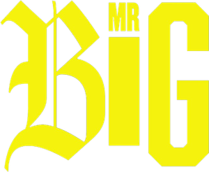 Mr Big — Logos 1