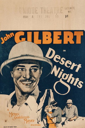 Desert Nights