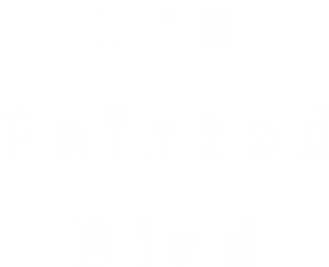 The Painted Bird