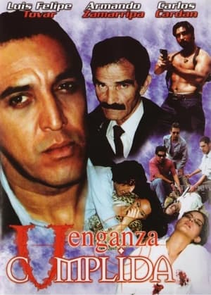 Poster Venganza cumplida 2004