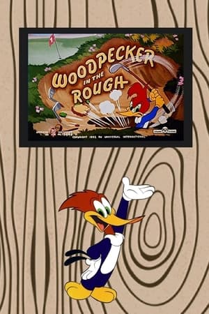 Woodpecker in the Rough poster