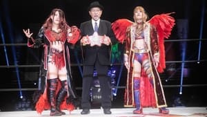 STARDOM Tokyo Dream Cinderella 2021 (2021)