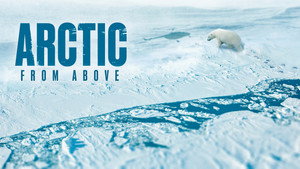 фото  - Смотреть Arctic from Above бесплатно онлайн на Lord-Filmy