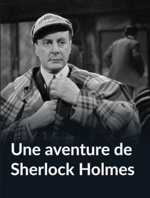 An Adventure of Sherlock Holmes