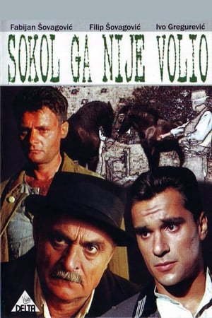 Poster Sokol Did Not Love Him 1988