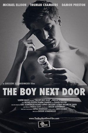 Poster The Boy Next Door (2008)