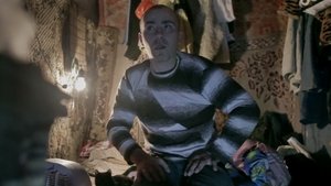 watch Sickfuckpeople 2013 Stream online free
