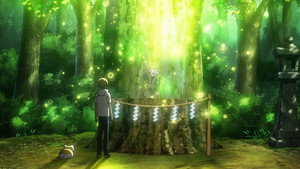 La souche de l’arbre Suzunaru