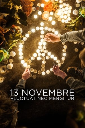 Image 13 novembre : Fluctuat nec mergitur