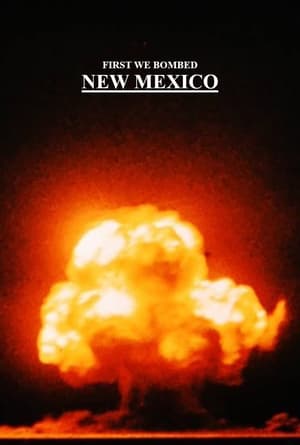 First We Bombed New Mexico