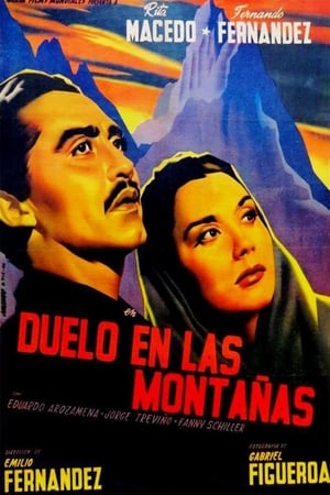 Duelo en las montañas poster