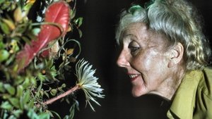 Margaret Mee and the Moonflower