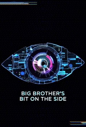 Big Brother's Bit on the Side - Season 16 Episode 17