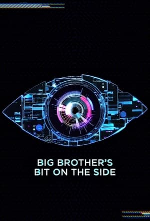 Image Big Brother's Bit on the Side