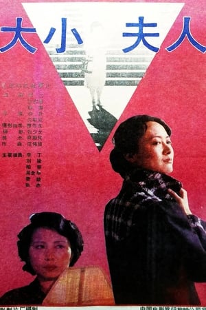 Poster Older and Younger Wives (1988)